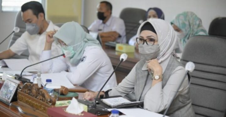 Atasi Banjir, Ketua DPRD Anita Sarankan Pemkot Palembang Tambah Kolam Retensi