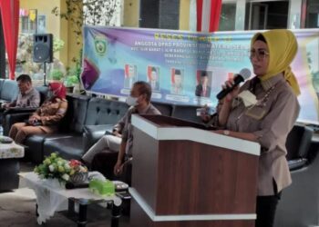 Ketua DPRD Sumsel Anita Kecewa, Perusahaan Tambang Hanya Kirim Perwakilan
