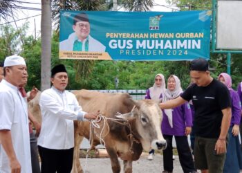 Gus Muhaimin Berkurban, Sofyan Ali Distribusikan Hewan Kurban di Kota Jambi