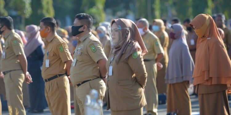 Pemerintah Revisi Aturan Tentang Jabatan Fungsional