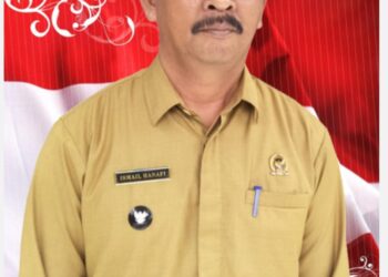Sukses 2 Periode, Masyarakat Inginkan Hanafi Kembali Pimpinan Desa Serdang Jaya 