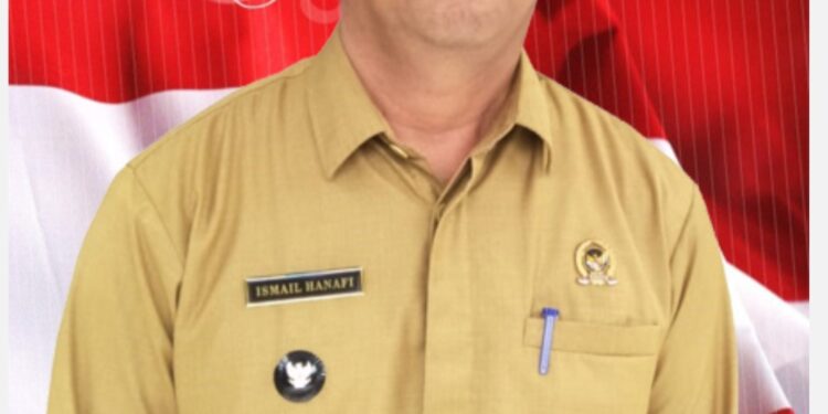 Sukses 2 Periode, Masyarakat Inginkan Hanafi Kembali Pimpinan Desa Serdang Jaya