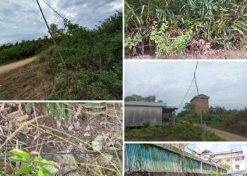 Mengkhawatirkan !, Jaringan Kabel Listrik PLN Tergeletak Diatas Tanah