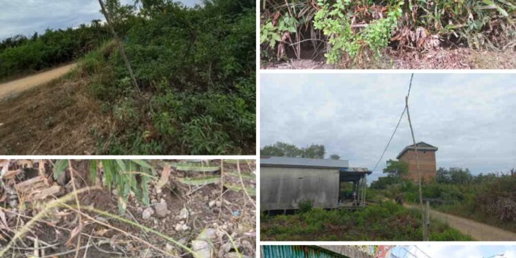 Mengkhawatirkan !, Jaringan Kabel Listrik PLN Tergeletak Diatas Tanah