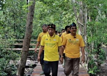 Didampingi Bupati, Wagup Hadiri Giat Penghijauan Hulu Migas Kawasan Mangrove Pangkal Babu