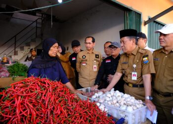 Jelang Hari Raya Idul Fitri, Wagub Sidak Pasar Pastikan Harga Bahan Pokok Stabil dan Stok Aman