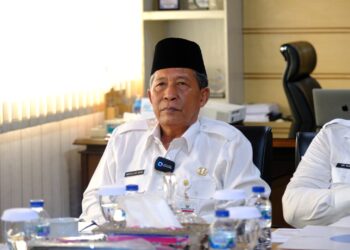 Abdullah Sani: TPPS Kerja Nyata Tangani Masalah Stunting di Provinsi Jambi