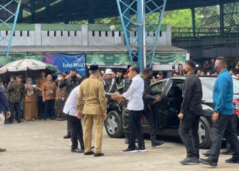 Tiba di Jambi, Presiden Joko Widodo Tinjau Pasar Talang Banjar dan Pasar Handil