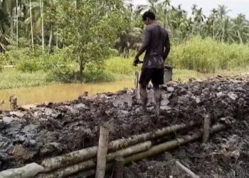 Telan Ratusan Juta, Proyek Tanggul Hanya Diperbaiki Asal-asalan