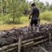 Telan Ratusan Juta, Proyek Tanggul Hanya Diperbaiki Asal-asalan