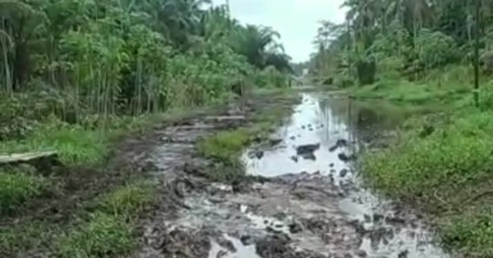 Bak Kubangan Kerbau, Puluhan Tahun Jalin Sungai Rambai tak Tersentuh Pembangunan