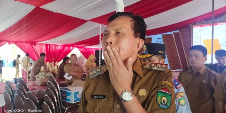 Walkot Prabumulih Tinjau Lokasi Agrowisata Nanas, Terkait Kesiapan Menyambut Kunjungan Wamentan-RI