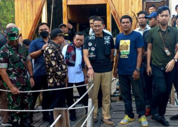 Apresiasi Ekowisata Mangrove Pakal Babu, Sandiaga Uno Akan Perhatian Pengembangannya