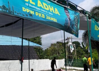 DPW PKB Jambi Sembelih Tiga Ekor Sapi Kurban