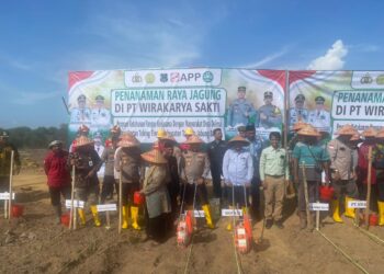 Kolaborasi Bupati dan Kapolres Tanjab Barat: Wujudkan Ketahanan Pangan Lewat Penanaman Jagung