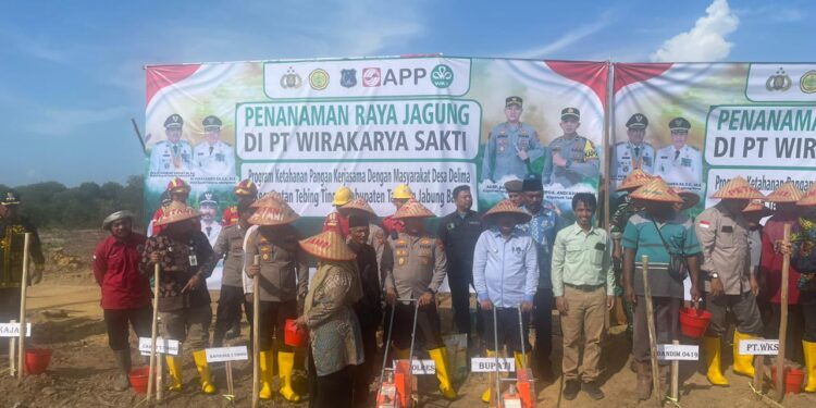 Kolaborasi Bupati dan Kapolres Tanjab Barat: Wujudkan Ketahanan Pangan Lewat Penanaman Jagung