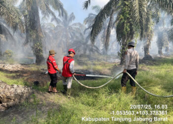 5 Kecamatan di Tanjabbar Rawan Kebakaran