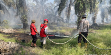 5 Kecamatan di Tanjabbar Rawan Kebakaran