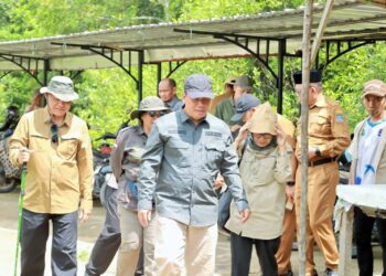 Pangkal Babu Berpotensi Besar, Wabup Katamso Sambut Dukungan Pusat untuk Pengelolaan Mangrove