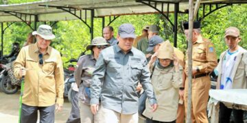 Pangkal Babu Berpotensi Besar, Wabup Katamso Sambut Dukungan Pusat untuk Pengelolaan Mangrove