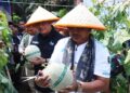 Panen Perdana 16 Ton Melon, Bupati Tanjab Barat Siapkan Langkah Pengembangan Kawasan Hortikultura Terpadu