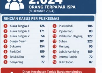 Kabut Asap, 2.024 Warga Tanjabbar Tercatat Terserang ISPA Periode Agustus–Oktober 2026