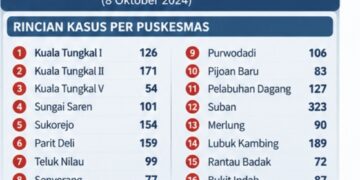 Kabut Asap, 2.024 Warga Tanjabbar Tercatat Terserang ISPA Periode Agustus–Oktober 2026